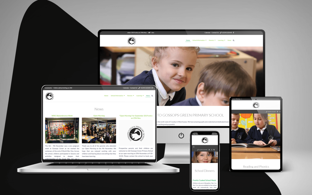 PRIMARY SCHOOL WEBSITE