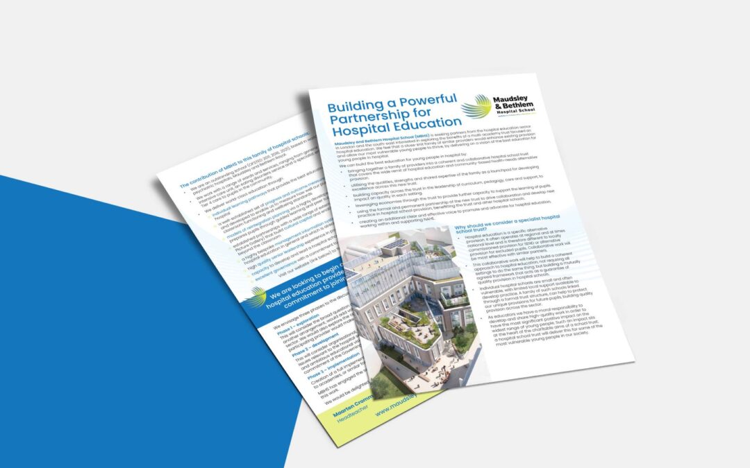 SCHOOL PARTNERSHIP FLYER